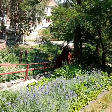 Penzion Slunce Nad Vinným Sklepem